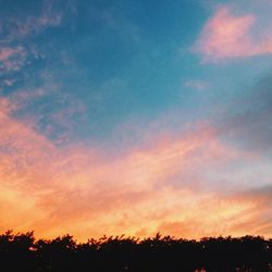 Silhouette of trees at sunset