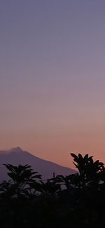 Silhouette palm trees by sea against sky during sunset