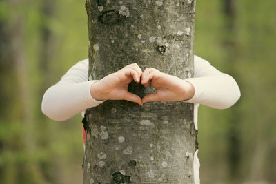 Close-up of hand holding tree trunk