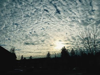 Silhouette trees against sky