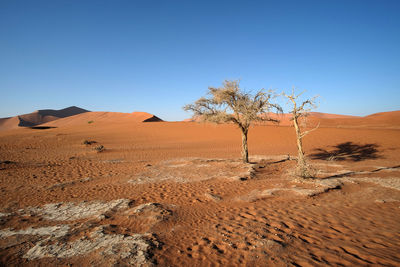 Scenic view of desert against clear blue sky