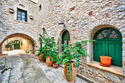 Potted plants on stone wall of old building