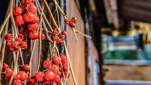 Close-up of red fruits hanging on for sale