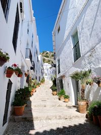 Steps amidst buildings in city