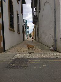 View of alley amidst buildings