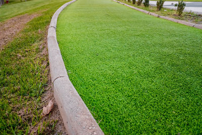 High angle view of footpath in park