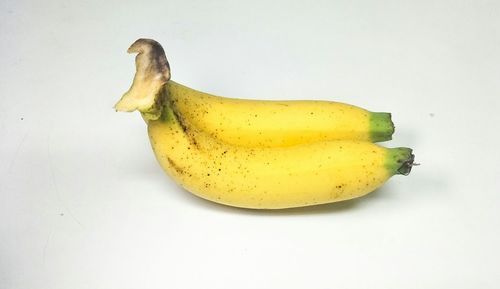 High angle view of yellow fruit against white background