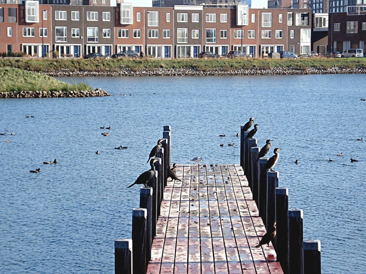 architecture, building exterior, built structure, water, building, city, waterfront, residential building, residential structure, canal, reflection, day, outdoors, house, rippled, city life, no people, river, window, railing