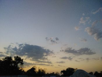 Low angle view of silhouette trees against sky