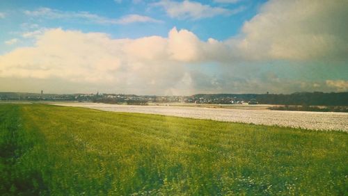 Scenic view of grassy field against cloudy sky