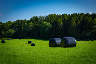 Hay bales on field by trees against sky