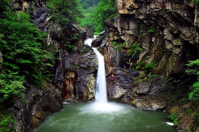 Scenic view of river flowing through rocks