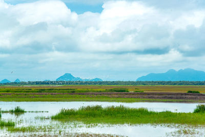 Scenic view of lake against sky