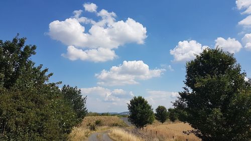 Panoramic view of road amidst trees against sky