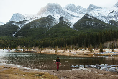 Back view of unrecognizable female hiker standing alone on shore of quarry lake against majestic forested mountains with snow covered rocky peaks in banff national park in canada