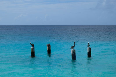 Scenic view of sea against blue sky