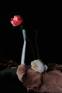 Close-up of rose against black background