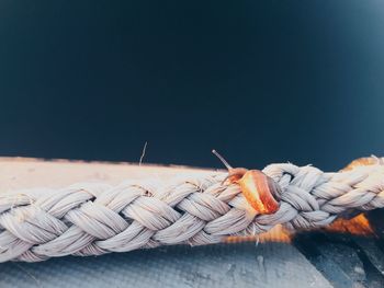 Close-up of rope tied on wood