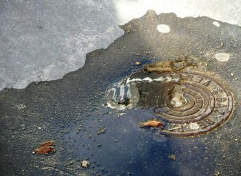 High angle view of wet road