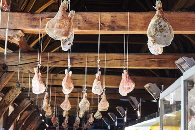 Low angle view of meats hanging from ceiling at butcher shop