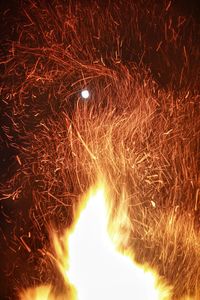 Firework display at night