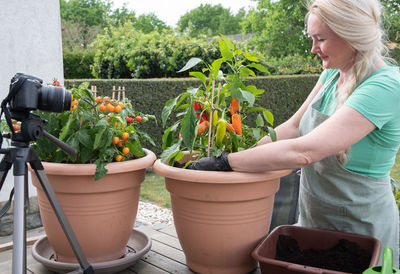 Middle aged woman transplant seedlings of cherry tomatous into a large pot