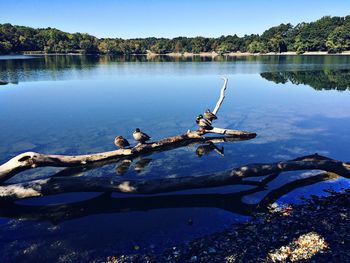 Scenic view of calm lake against sky