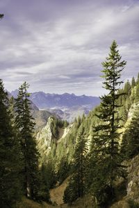 Panoramic view of trees and mountains against sky