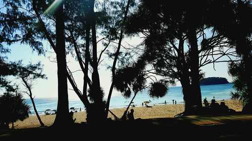 Silhouette tree by sea against sky