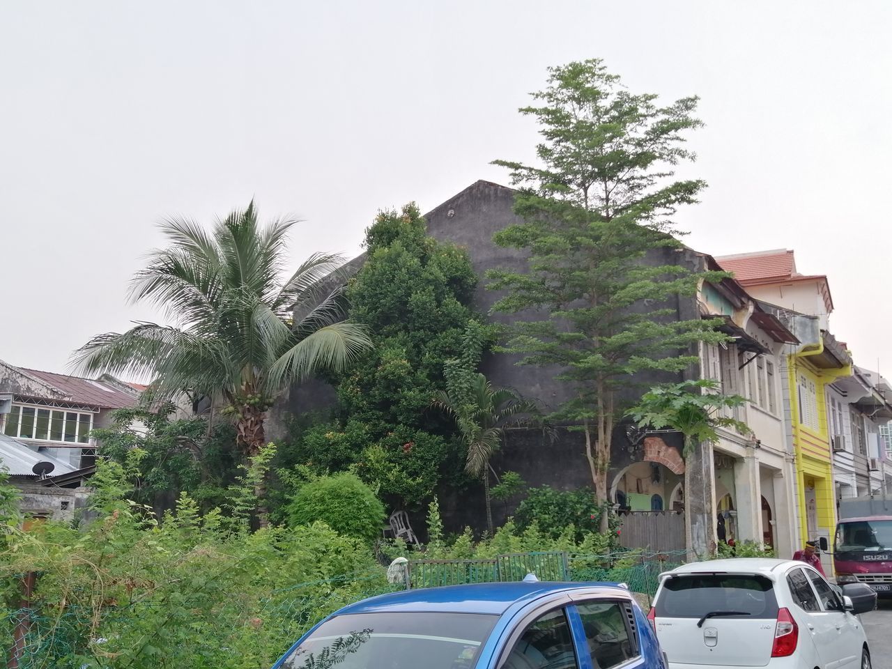 CARS ON ROAD AMIDST TREES AND BUILDINGS AGAINST SKY