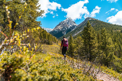 Female hiker walking to grizzly peak in kananaskis country