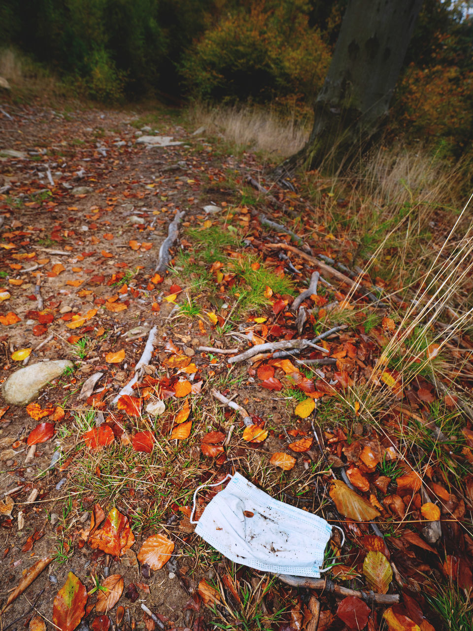 HIGH ANGLE VIEW OF LEAVES ON FIELD DURING AUTUMN