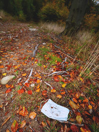 High angle view of autumn leaves on field