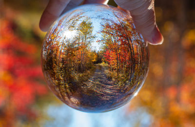 Cropped hand holding crystal ball