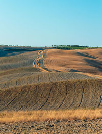 Wavy hills in tuscan farmland