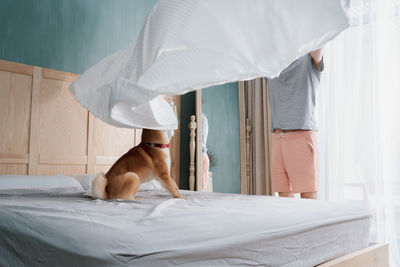 Young man and his funny dog are putting the bedding cover or mattress pad on the bed