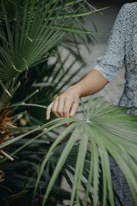 Close-up of woman holding leaves