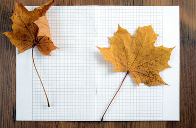 High angle view of maple leaves on paper at wooden table