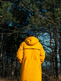 Traveler man in yellow coat walking pine forest sunny weather back view faceless authentic lifestyle