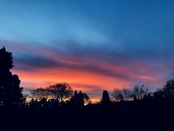 Silhouette trees against sky during sunset