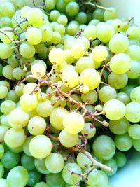 Close-up of grapes