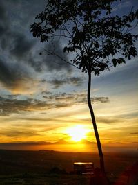 Silhouette tree against sky during sunset