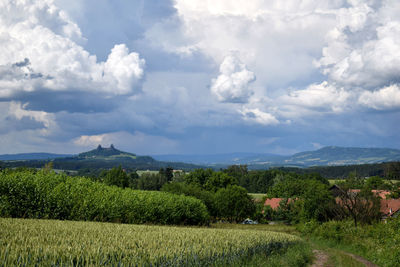 Scenic view of field against sky