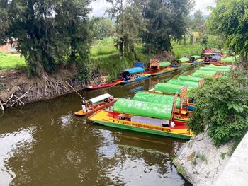 Scenic view of river amidst trees