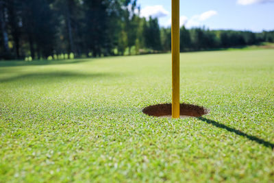 View of golf course