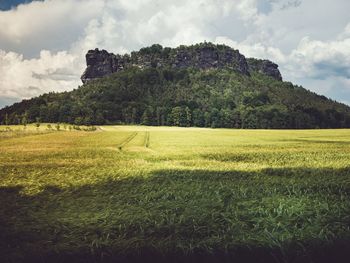 Scenic view of field against sky