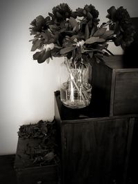 Close-up of potted plant on table