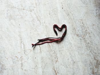 Close-up of heart shape bracelet on floor