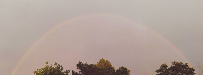 Low angle view of rainbow against sky