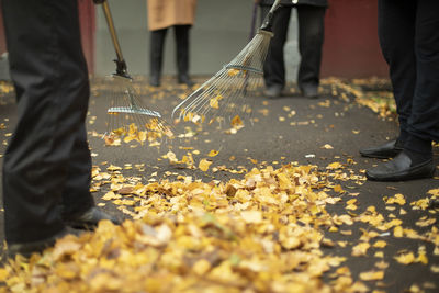 Low section of people standing on street during autumn